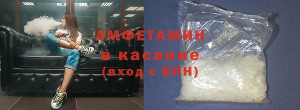 прущие грибы Няндома